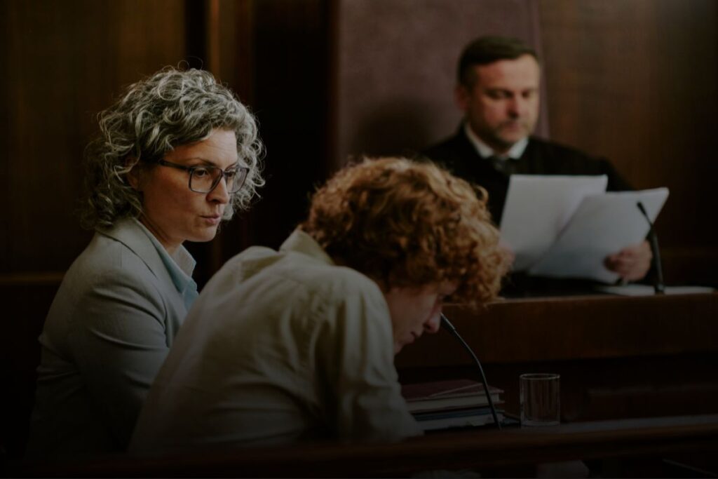 audiencia por felonía